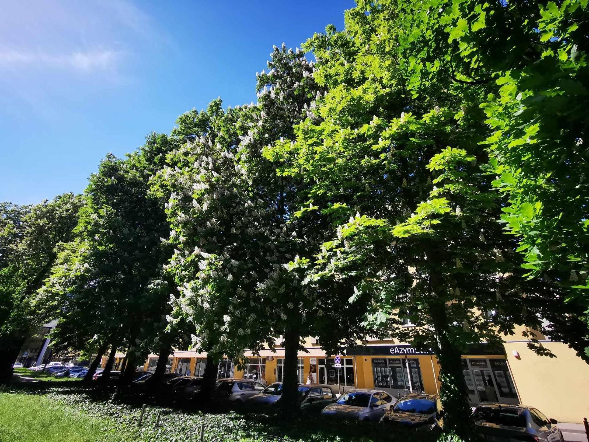 Corazziego Plac Bankowy Apartment Warszawa Eksteriør billede